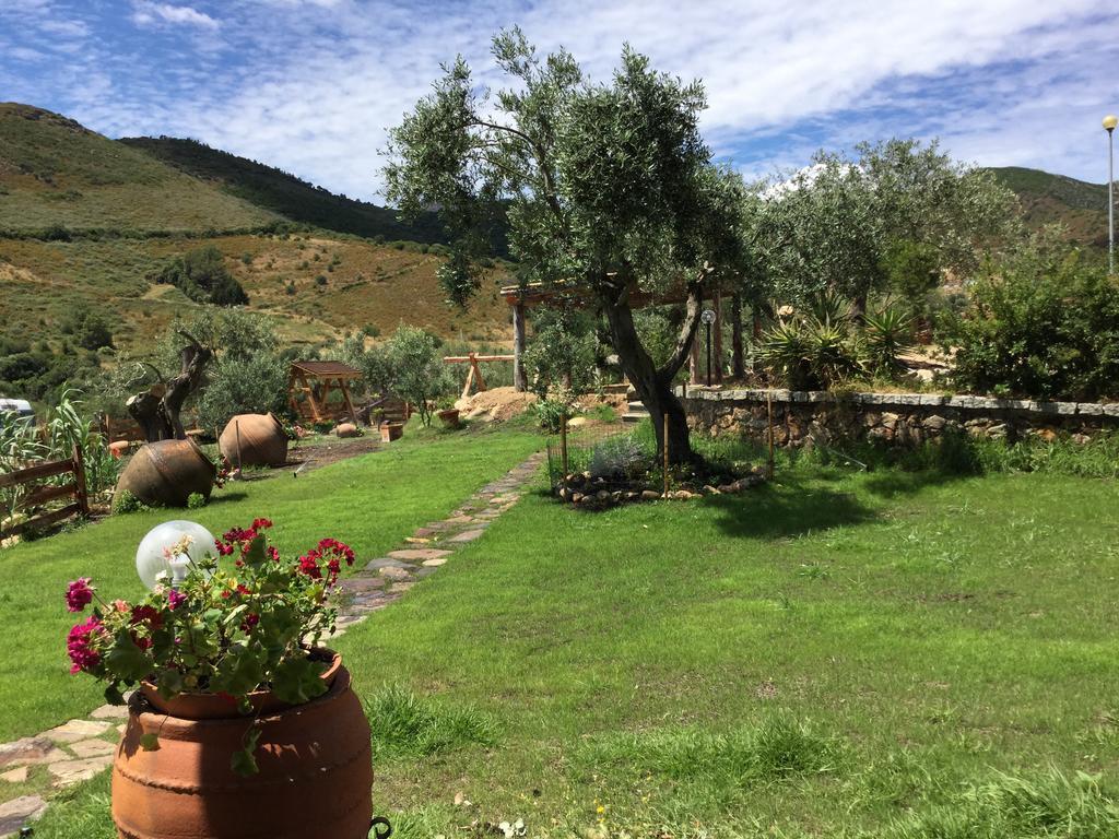 Bed and Breakfast Il Giardino Di Daniela Сан-Теодоро Экстерьер фото