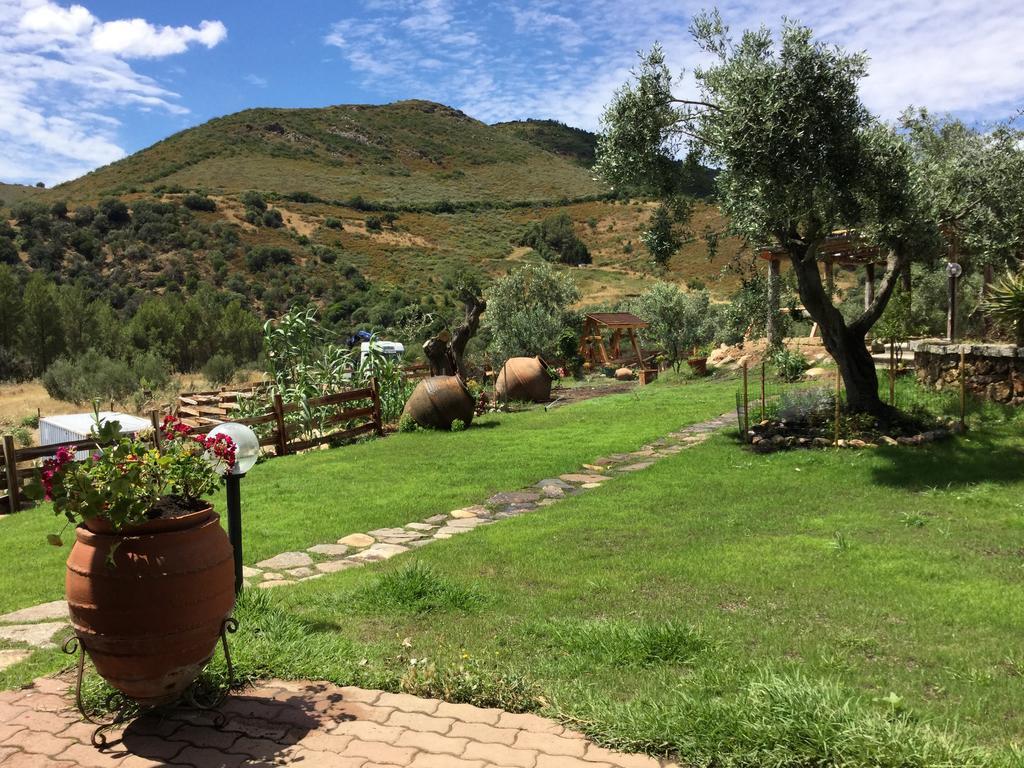 Bed and Breakfast Il Giardino Di Daniela Сан-Теодоро Экстерьер фото