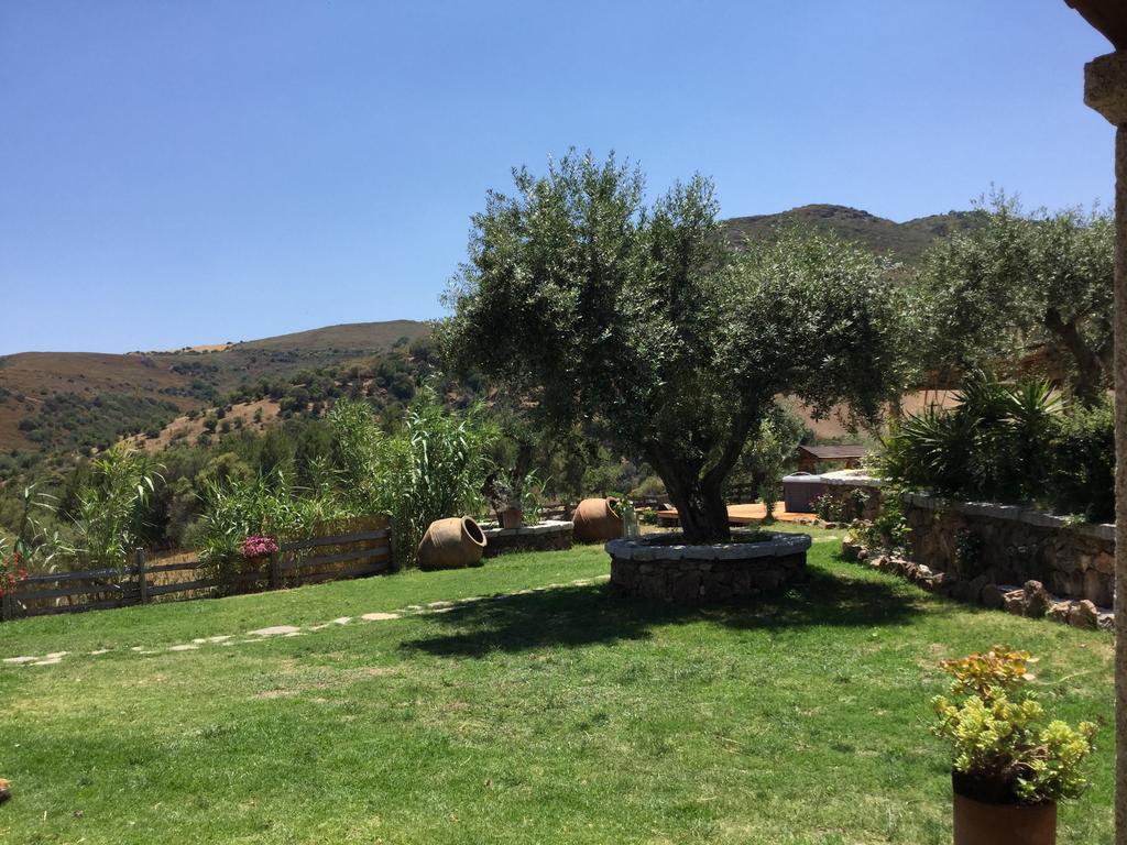 Bed and Breakfast Il Giardino Di Daniela Сан-Теодоро Экстерьер фото